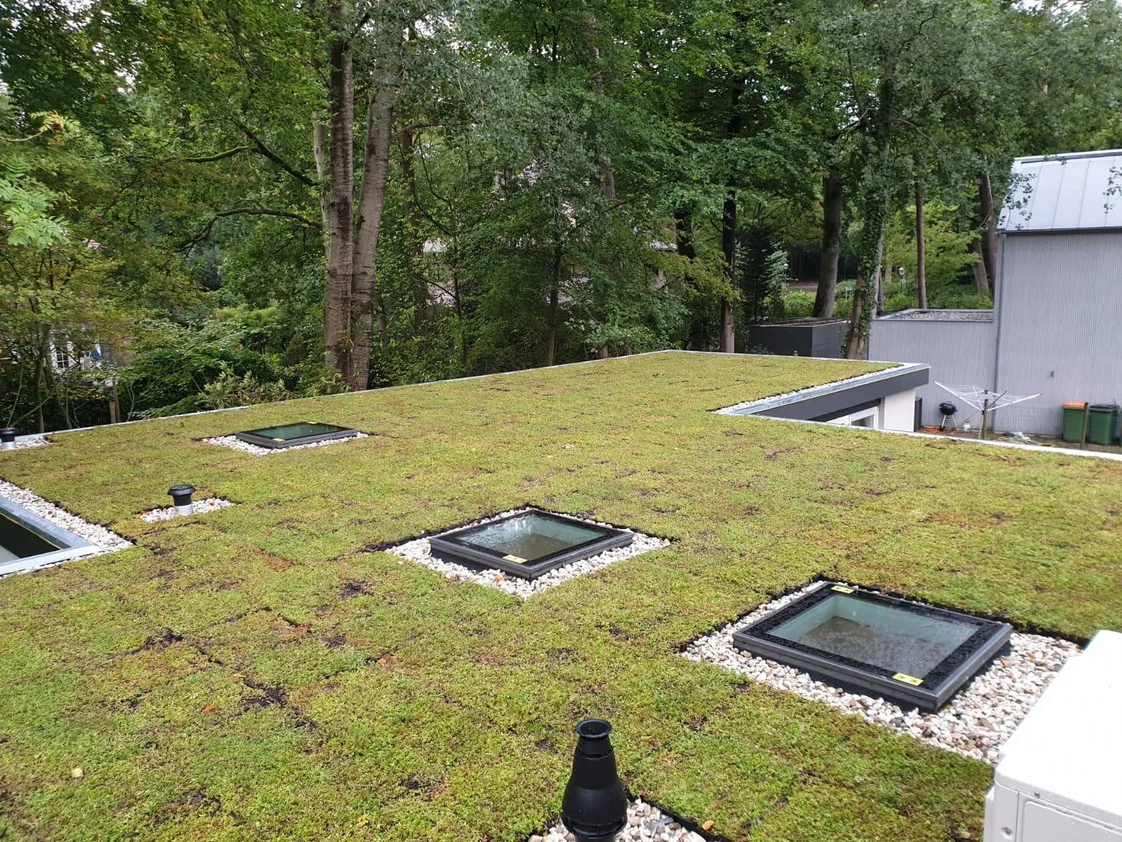 Groene Daken 02 — buitenproject gerealiseerd door JH Buiten Bouw Groep