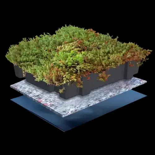 Groene Daken 04 — buitenproject gerealiseerd door JH Buiten Bouw Groep