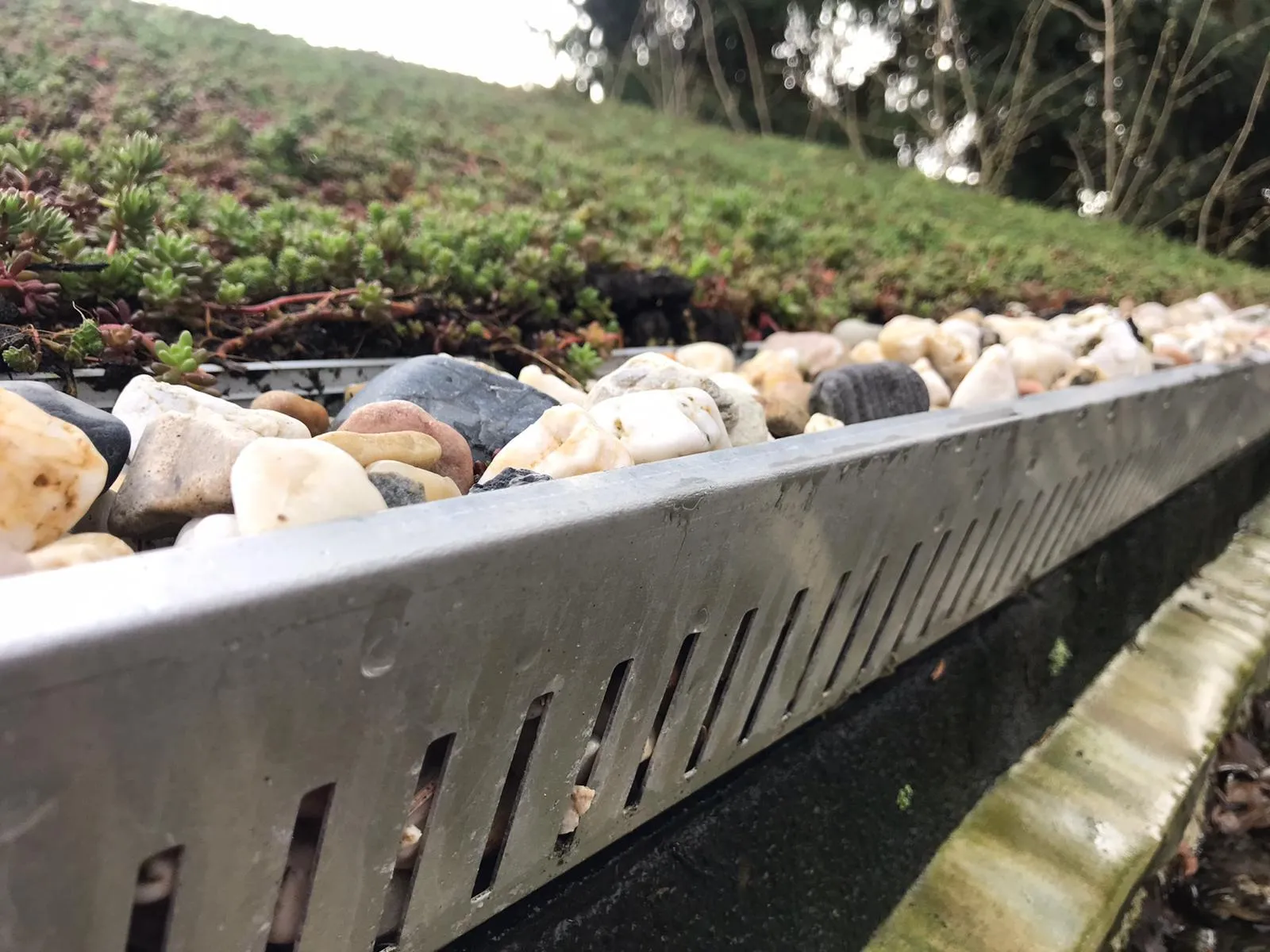 Groene Daken 05 — buitenproject gerealiseerd door JH Buiten Bouw Groep