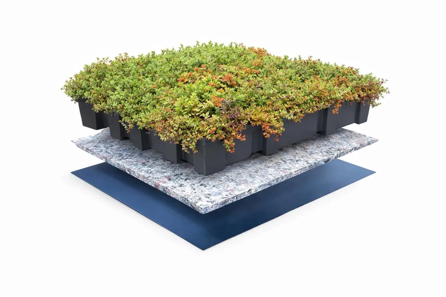 Groene Daken 08 — buitenproject gerealiseerd door JH Buiten Bouw Groep