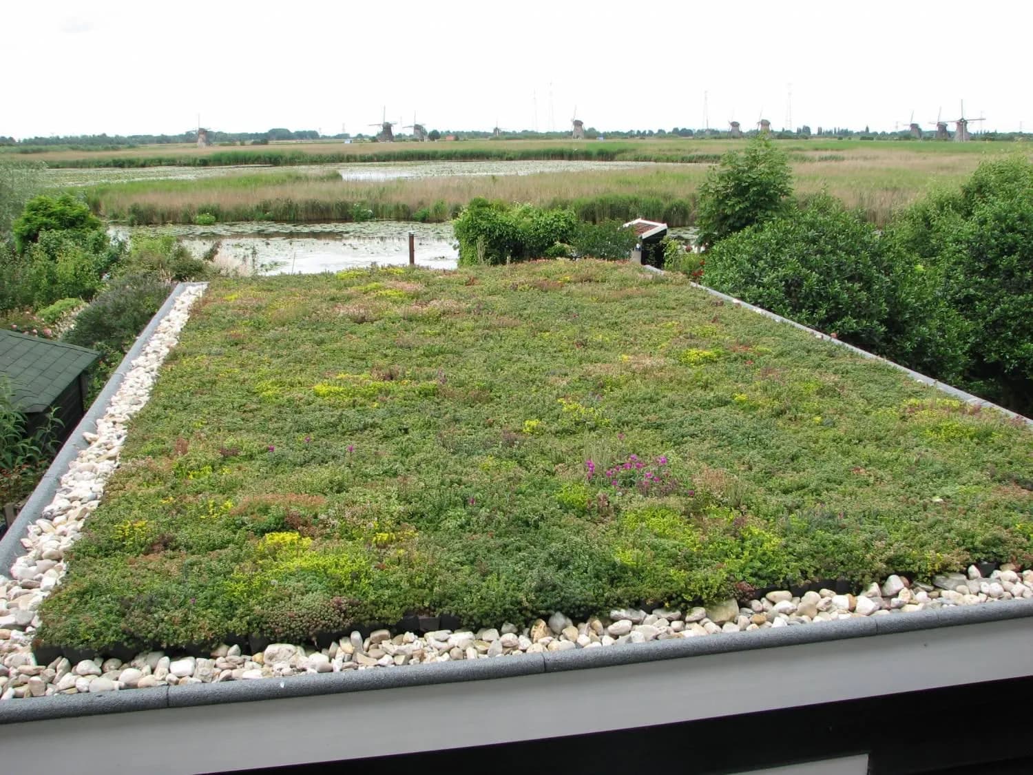 Groene Daken 09 — buitenproject gerealiseerd door JH Buiten Bouw Groep