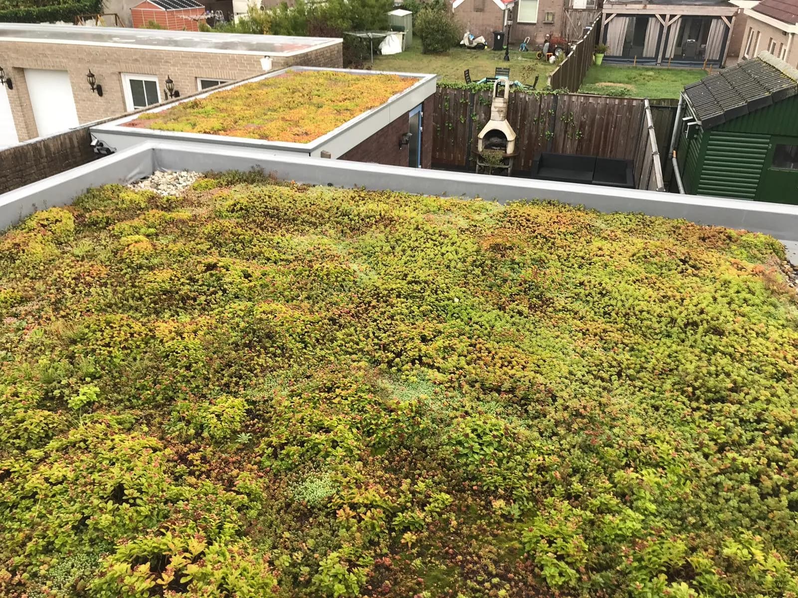 Groene Daken 12 — buitenproject gerealiseerd door JH Buiten Bouw Groep