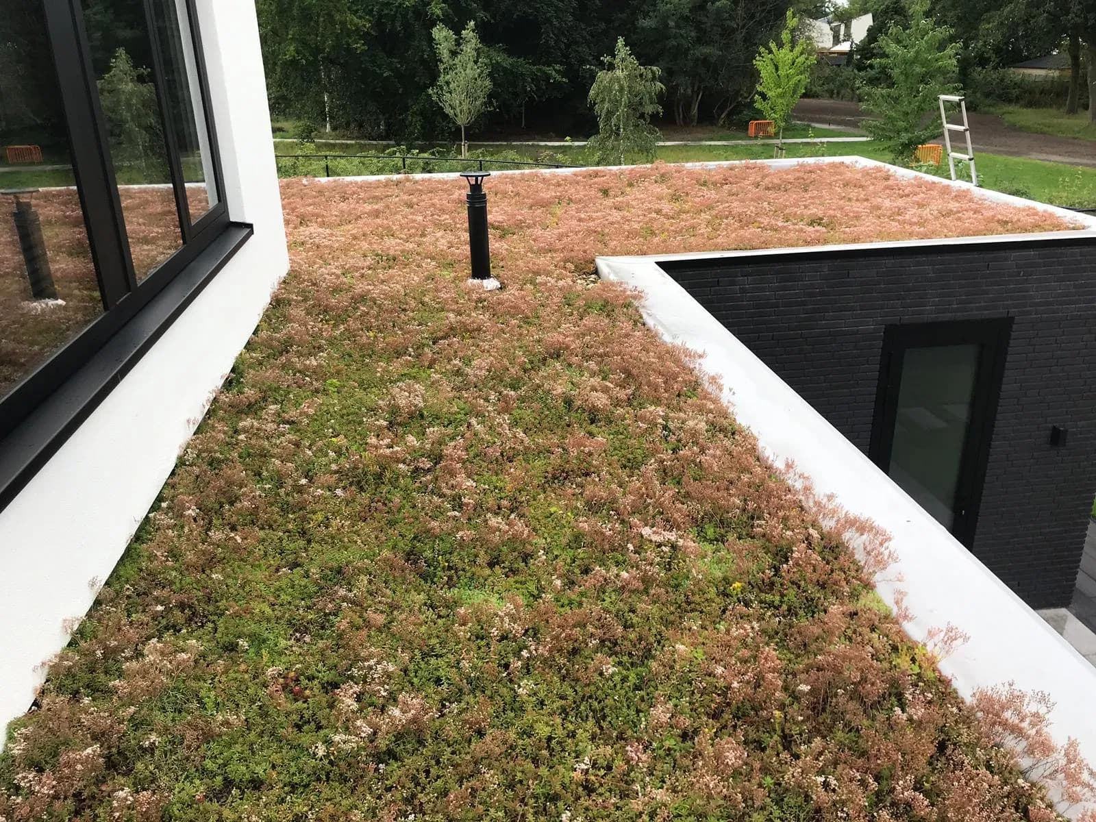 Groene Daken 14 — buitenproject gerealiseerd door JH Buiten Bouw Groep