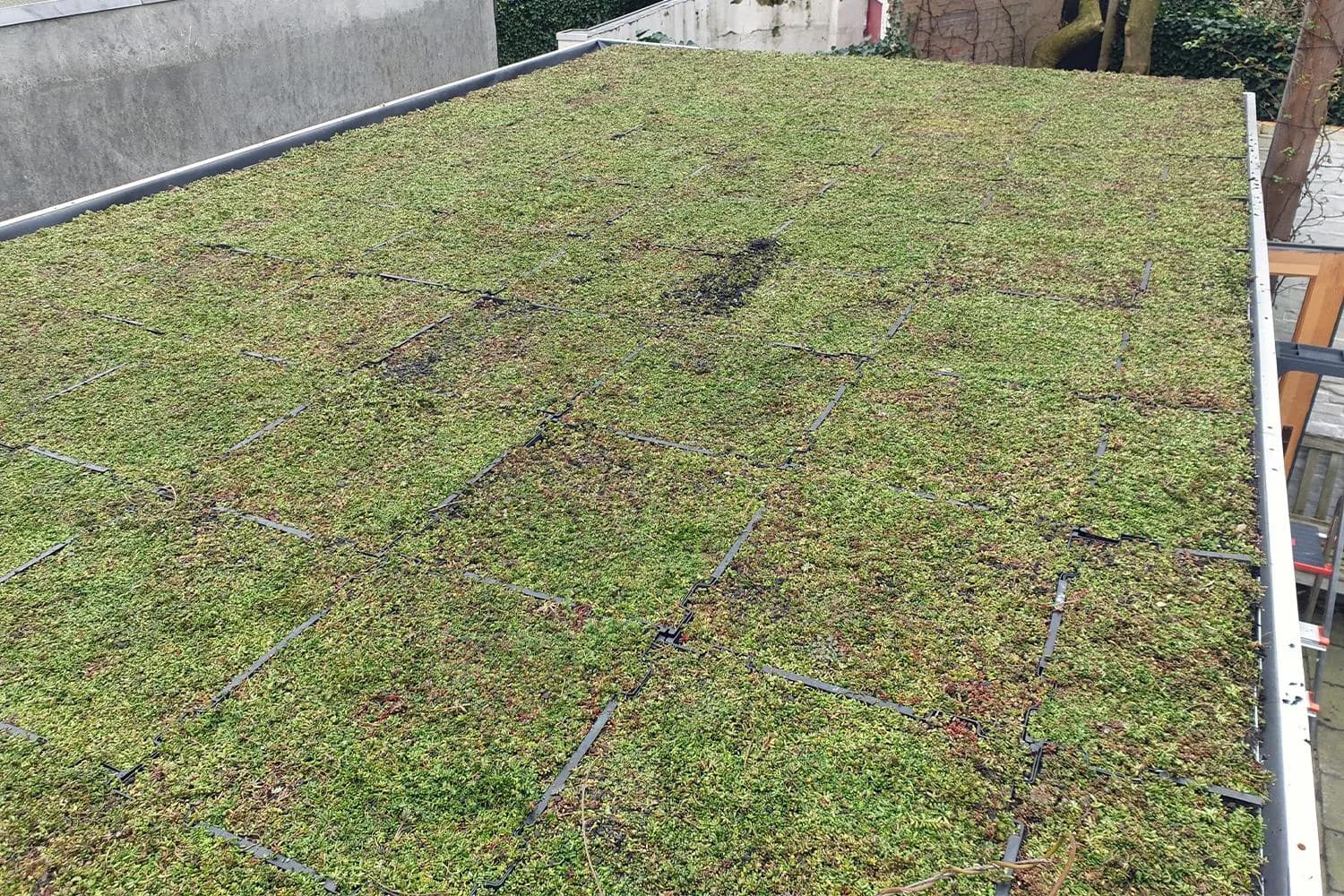 Groene Daken 16 — buitenproject gerealiseerd door JH Buiten Bouw Groep