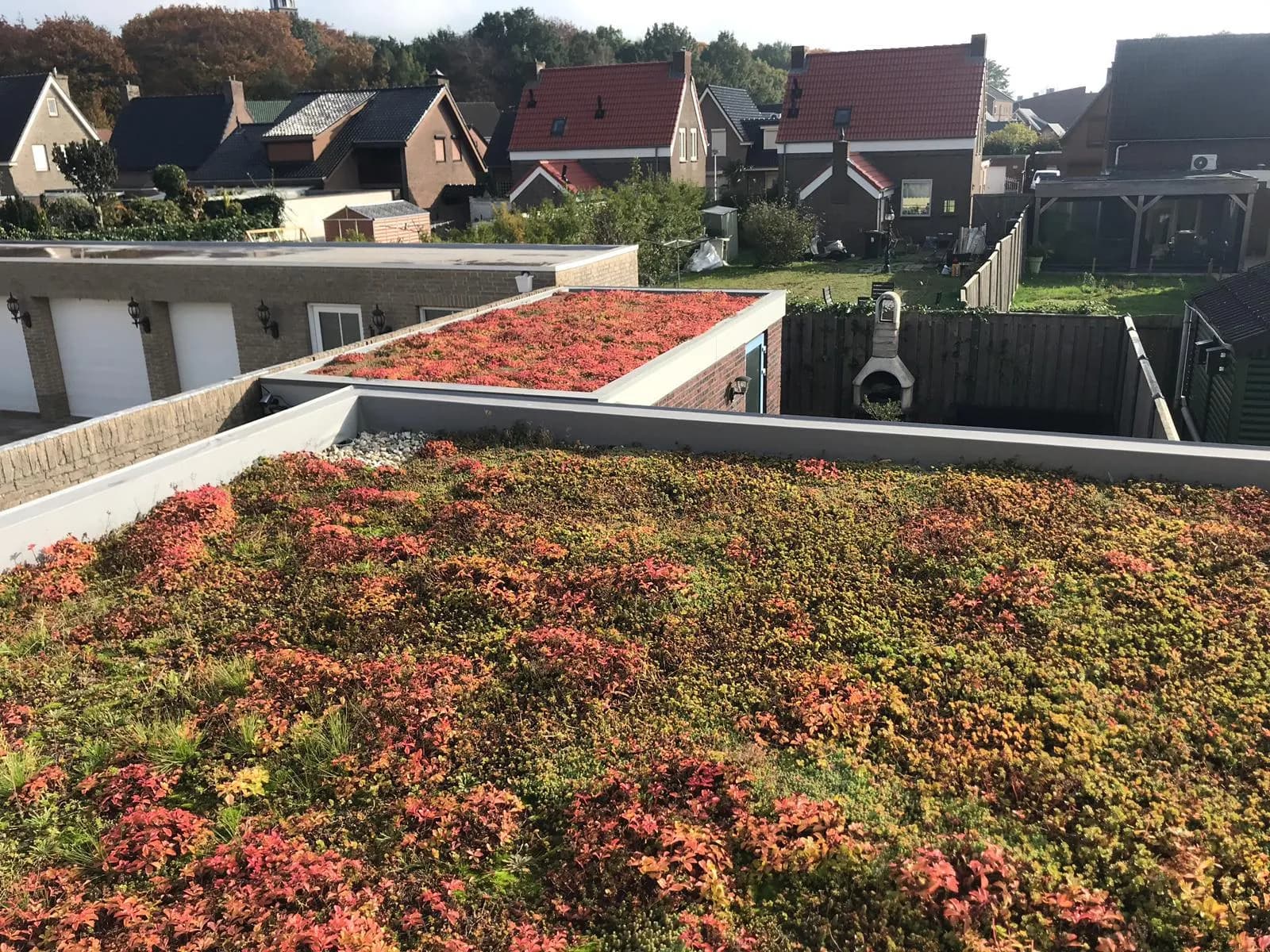 Groene Daken 19 — buitenproject gerealiseerd door JH Buiten Bouw Groep