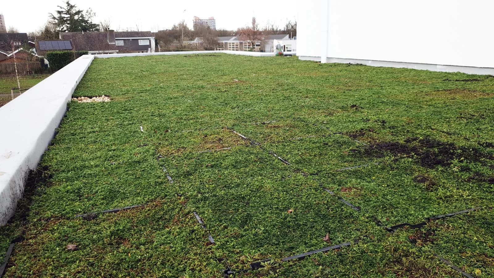 Groene Daken 22 — buitenproject gerealiseerd door JH Buiten Bouw Groep