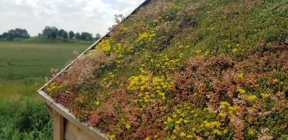Groene Daken 23 — buitenproject gerealiseerd door JH Buiten Bouw Groep